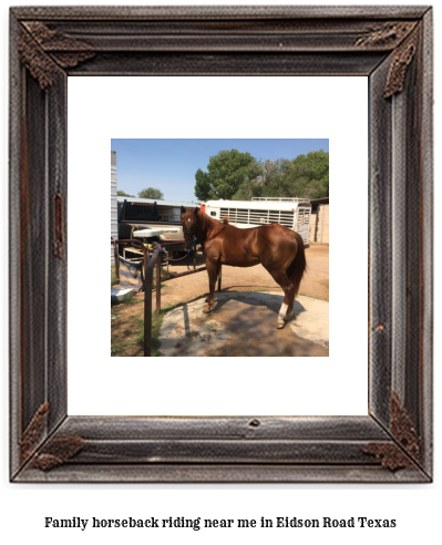 family horseback riding near me in Eidson Road, Texas